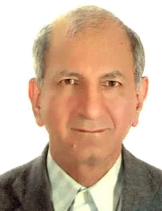 سید عبدالحسین معصومی